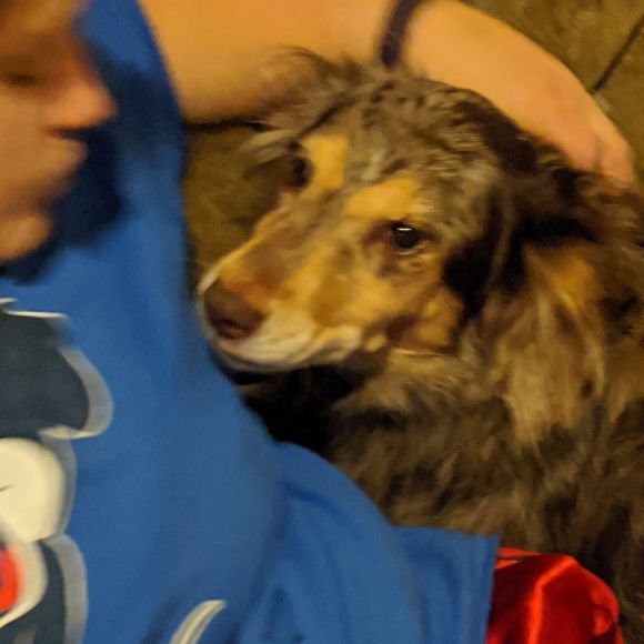 Meet your Posher, Jon - Picture 1 of 1